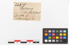 Etiketten zu Eisengriffangelmesser (NHMW-PRAE-023678)